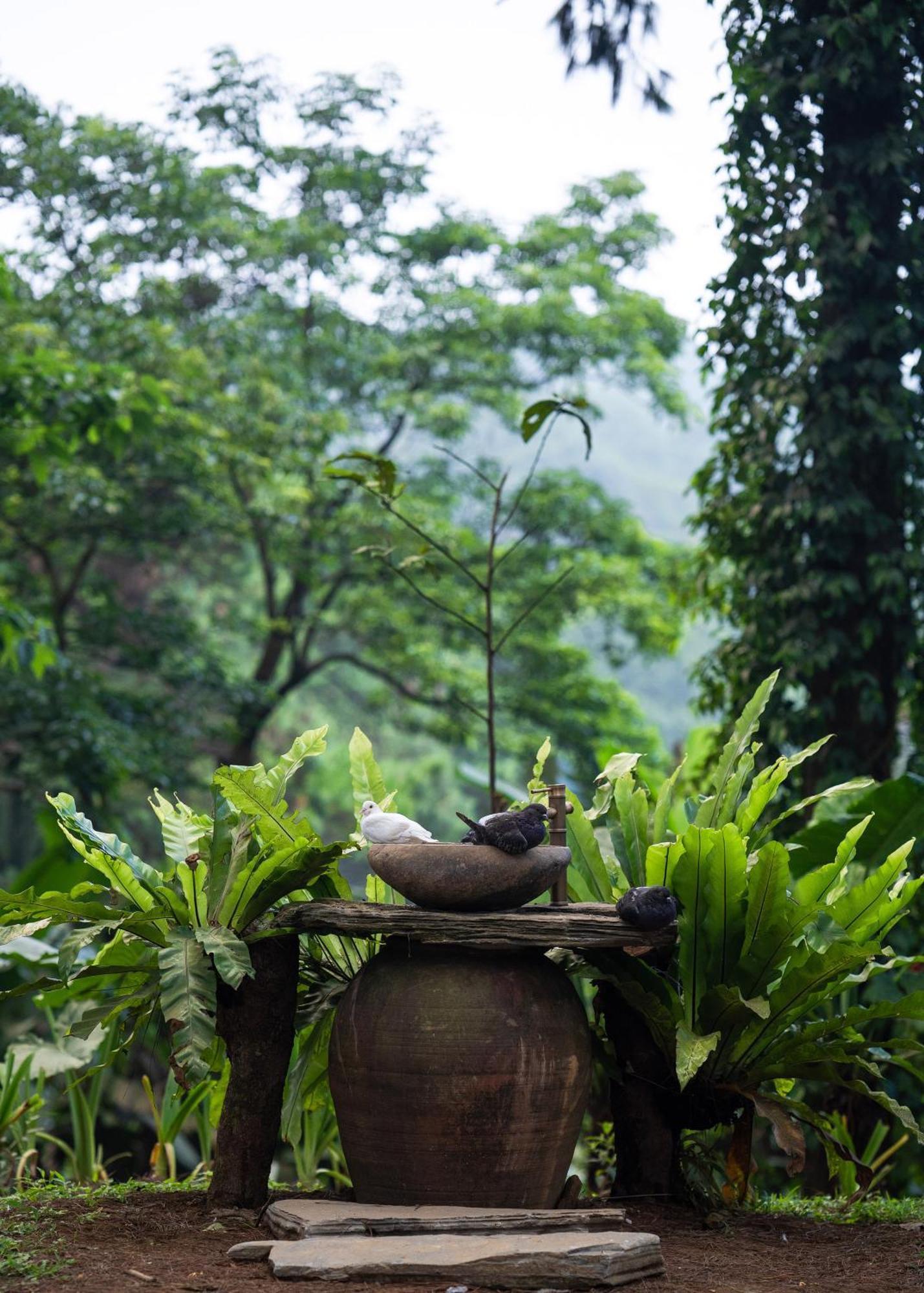 Hotel Melia Ba VI Mountain Retreat à Hanoï Extérieur photo